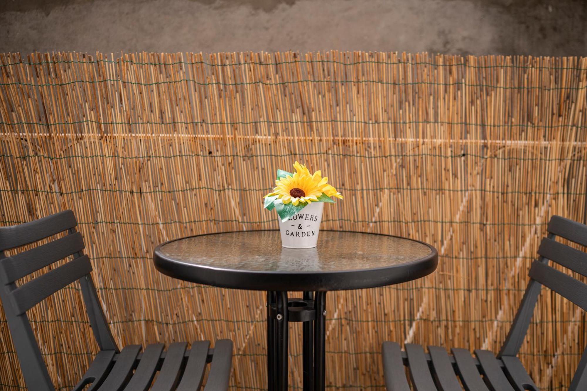 Le Douillet Bearnais Apartment Pau Exterior photo